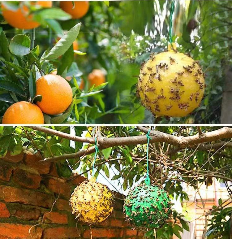 Weather-resistant orchard sticky ball glue in outdoor field conditions