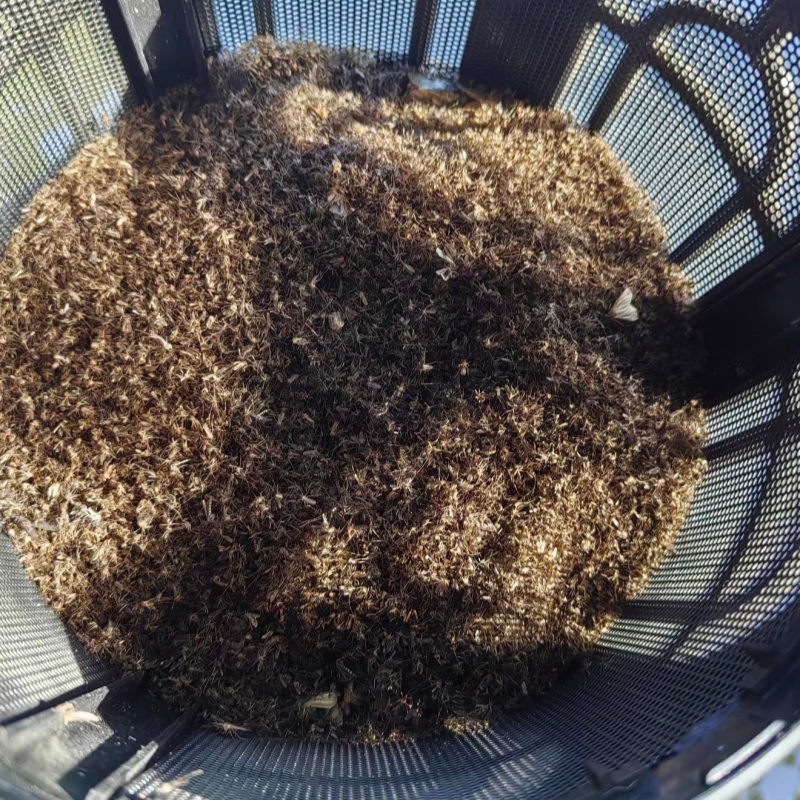 Wind-suction trap in farm environment