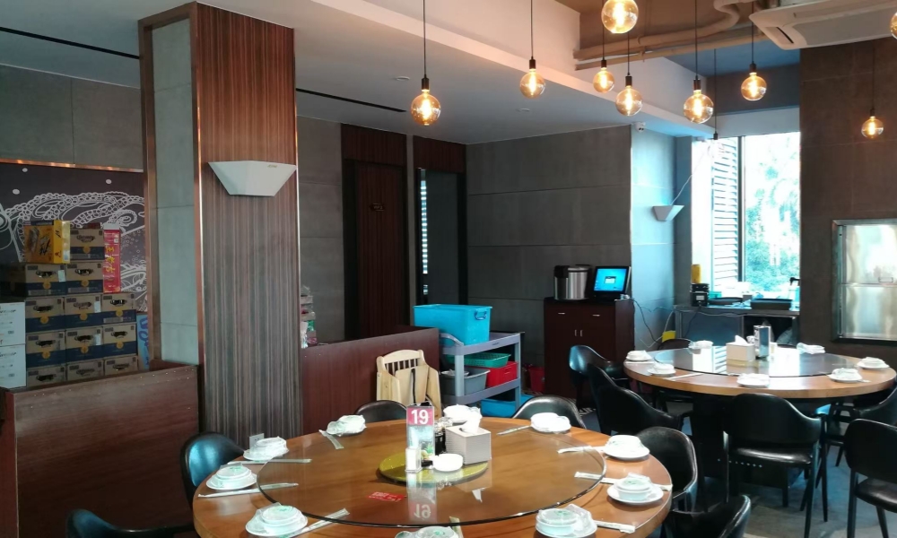 Blue light trap installed in a real restaurant kitchen