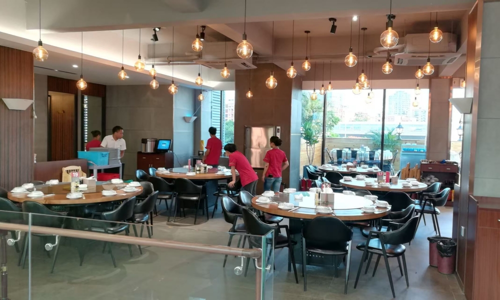 Blue light trap installed in a real restaurant kitchen
