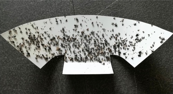 Board close-up