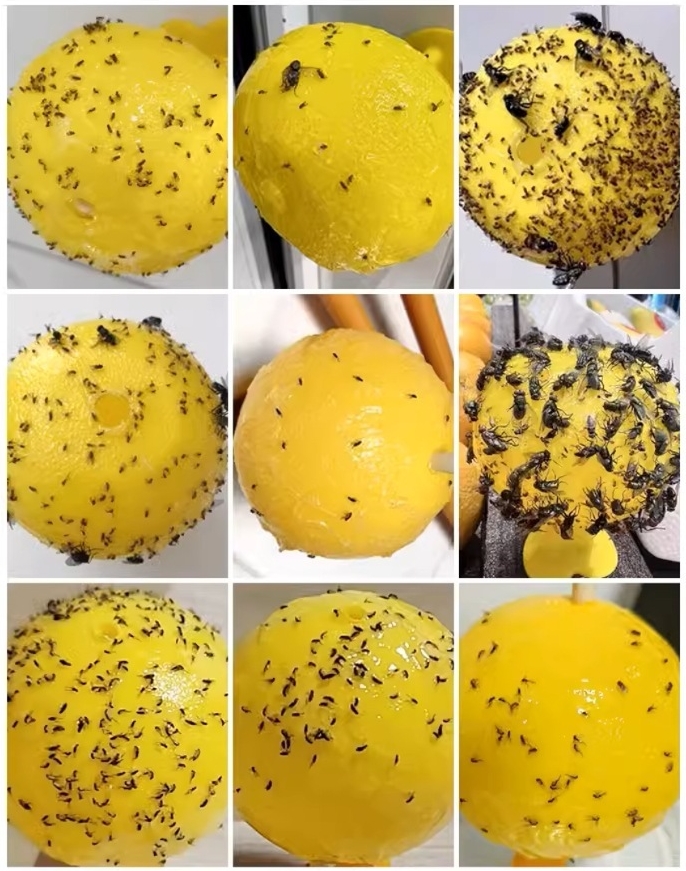 Orchard Application